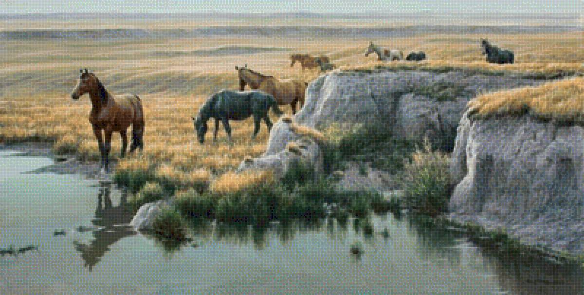 Mustang Country. - scenarys.animals. - предпросмотр