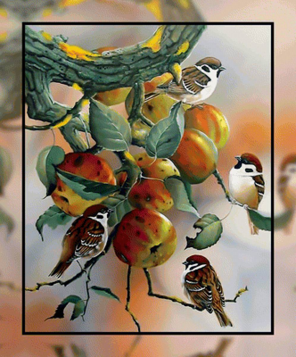 Воробьи на яблоне. - ветки, яблоки, яблоня, птицы, воробьи. - предпросмотр