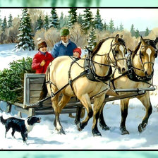 Из леса с ёлочкой.