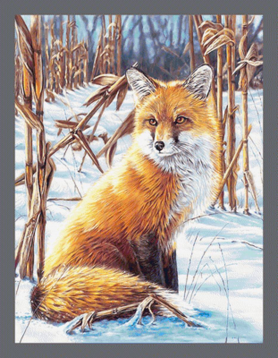 Серия "Лисы" - лисы, животные - предпросмотр