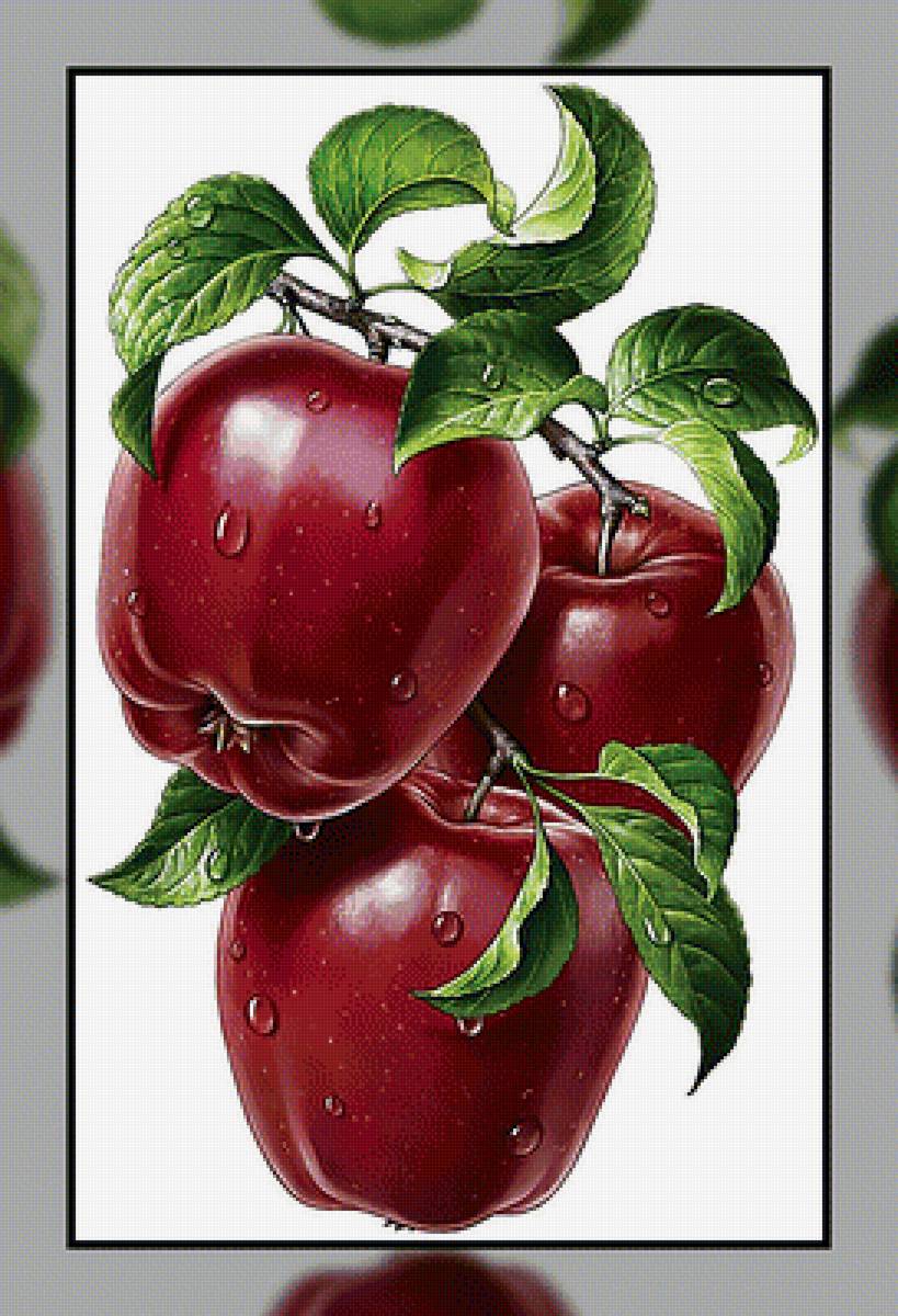 Яблоки. - яблоки., фрукты - предпросмотр