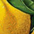 Предпросмотр схемы вышивки «Ветка лимона.» (№1937623)