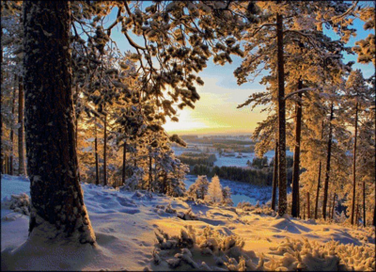 Рассвет - рассвет, лес, снег, зима - предпросмотр