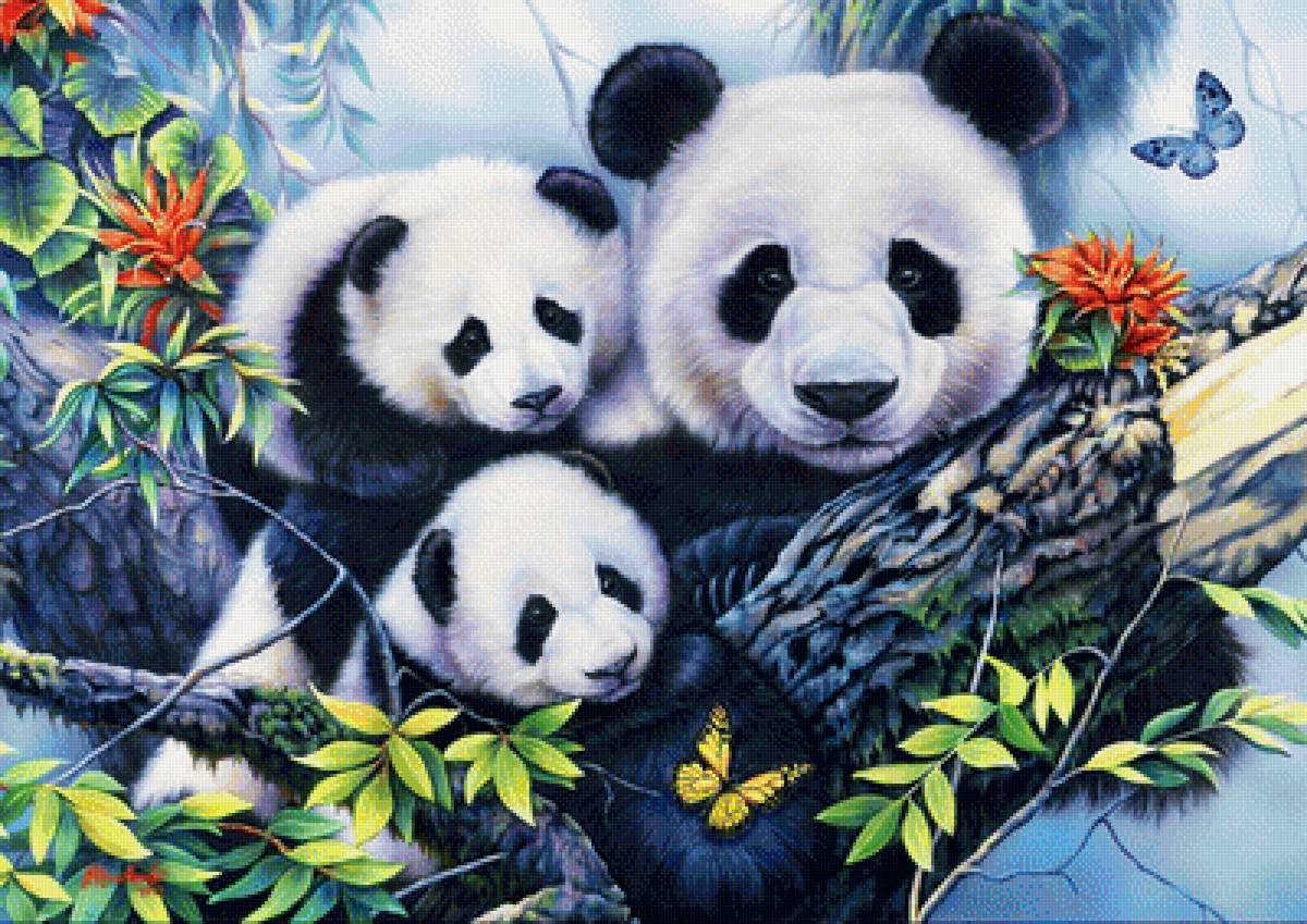 №1937750 - животные, панды - предпросмотр