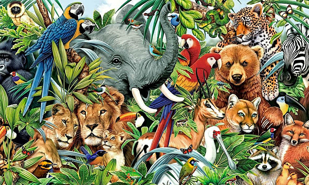 Животные - звери - оригинал