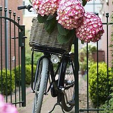 Схема вышивки «СЮЖЕТ»