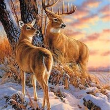 Схема вышивки «животные»