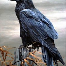 Схема вышивки «птица»