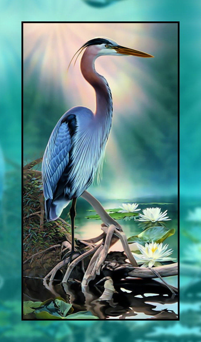 Цапля. - лилии., цапля, пруд - оригинал