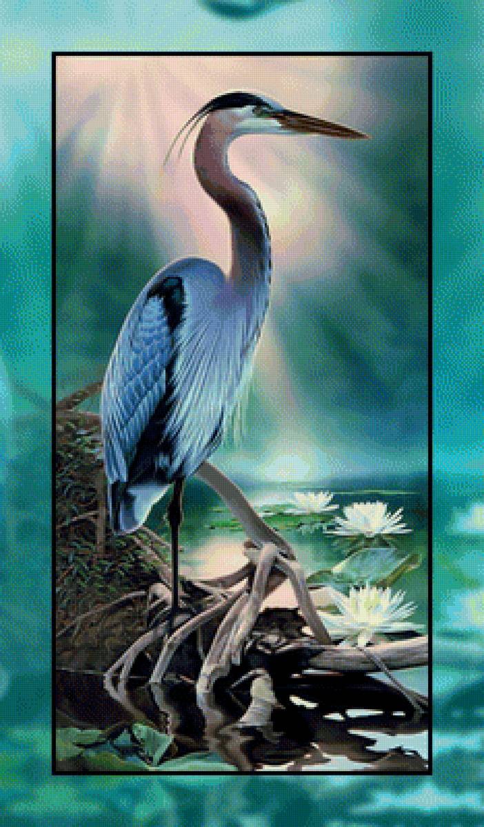 Цапля. - цапля, лилии., пруд - предпросмотр