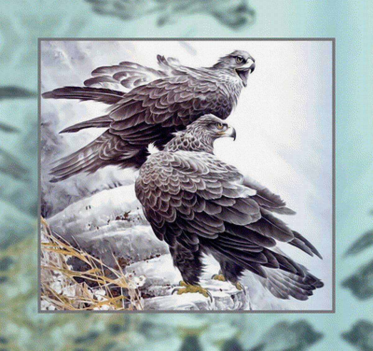 Небесные хищники. - хищники., орлы, птицы - предпросмотр