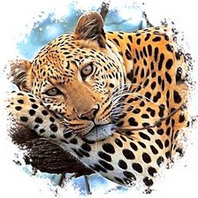 Схема вышивки «Мир животных»