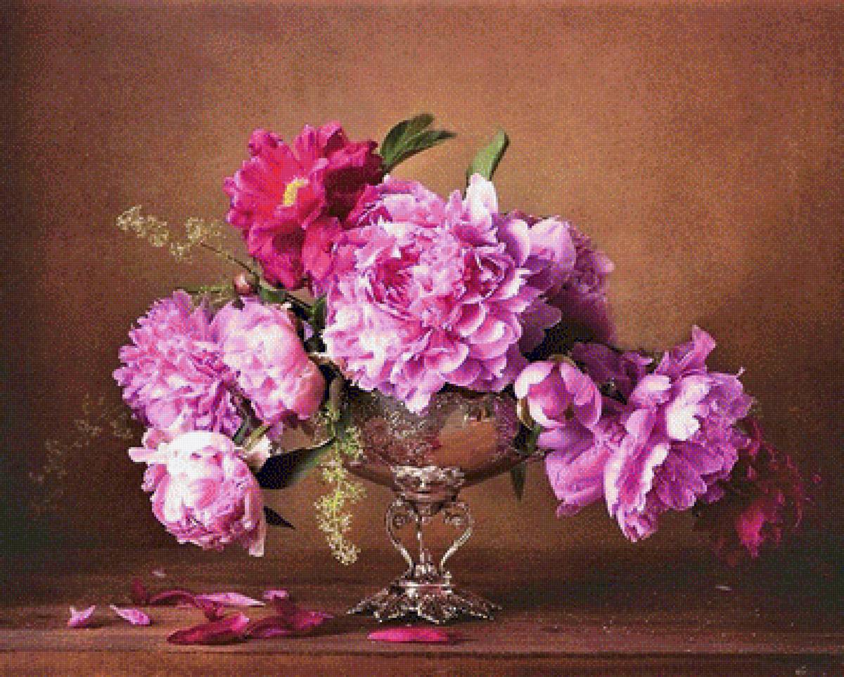 ПИОНЫ - пионы - предпросмотр