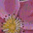 Предпросмотр схемы вышивки «цветы» (№1938673)