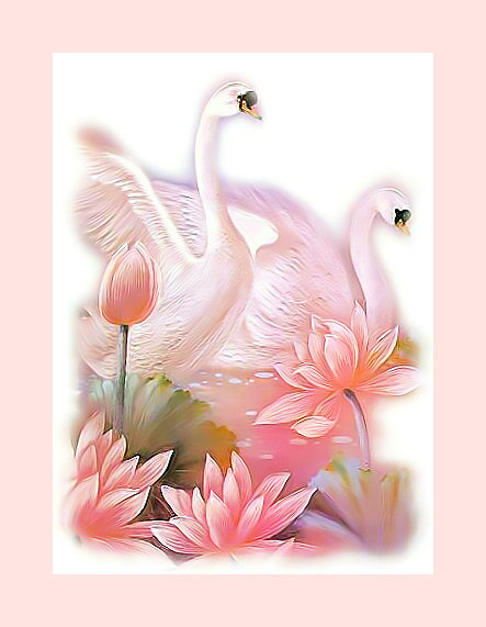 Лебединая пара. - лебеди. - оригинал