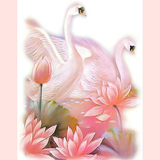 Лебединая пара.