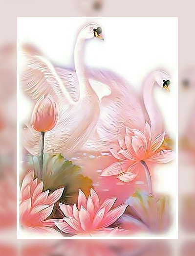 Лебединая пара2. - лебеди. - оригинал