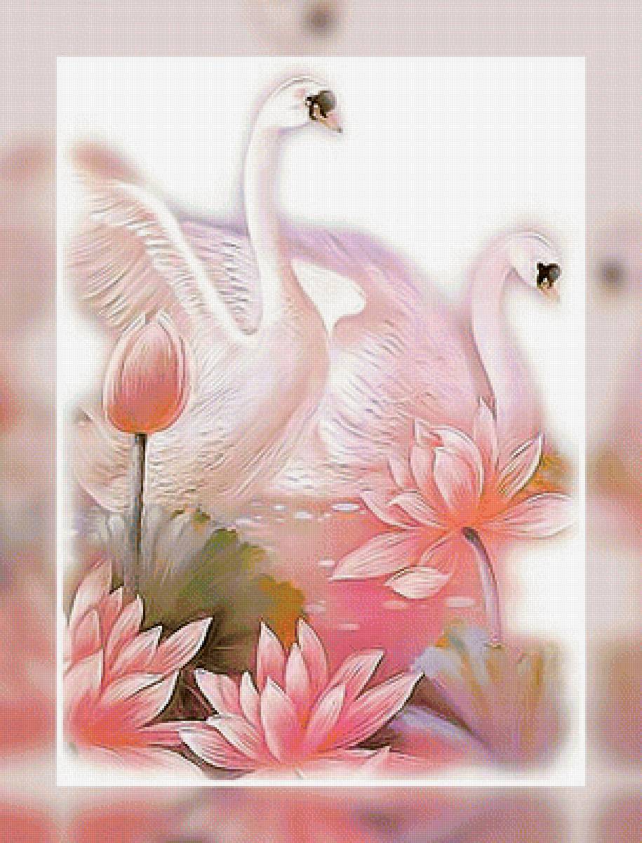 Лебединая пара2. - лебеди. - предпросмотр