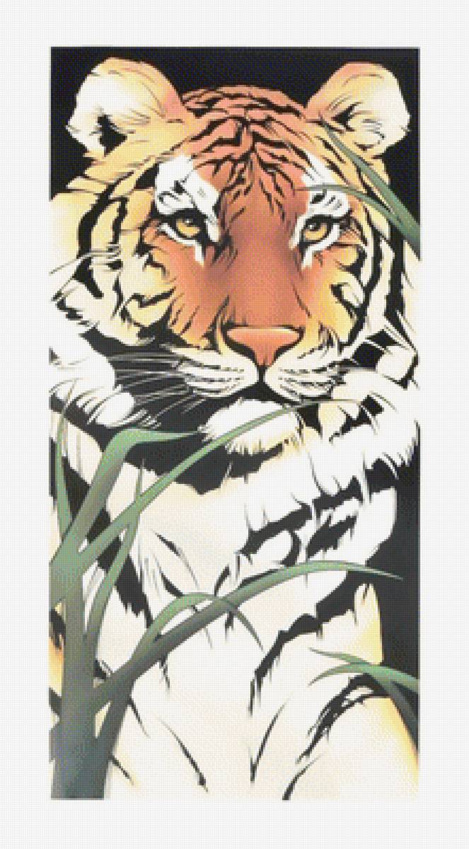 №1938708 - тигры, тигр, животные, хищники - предпросмотр