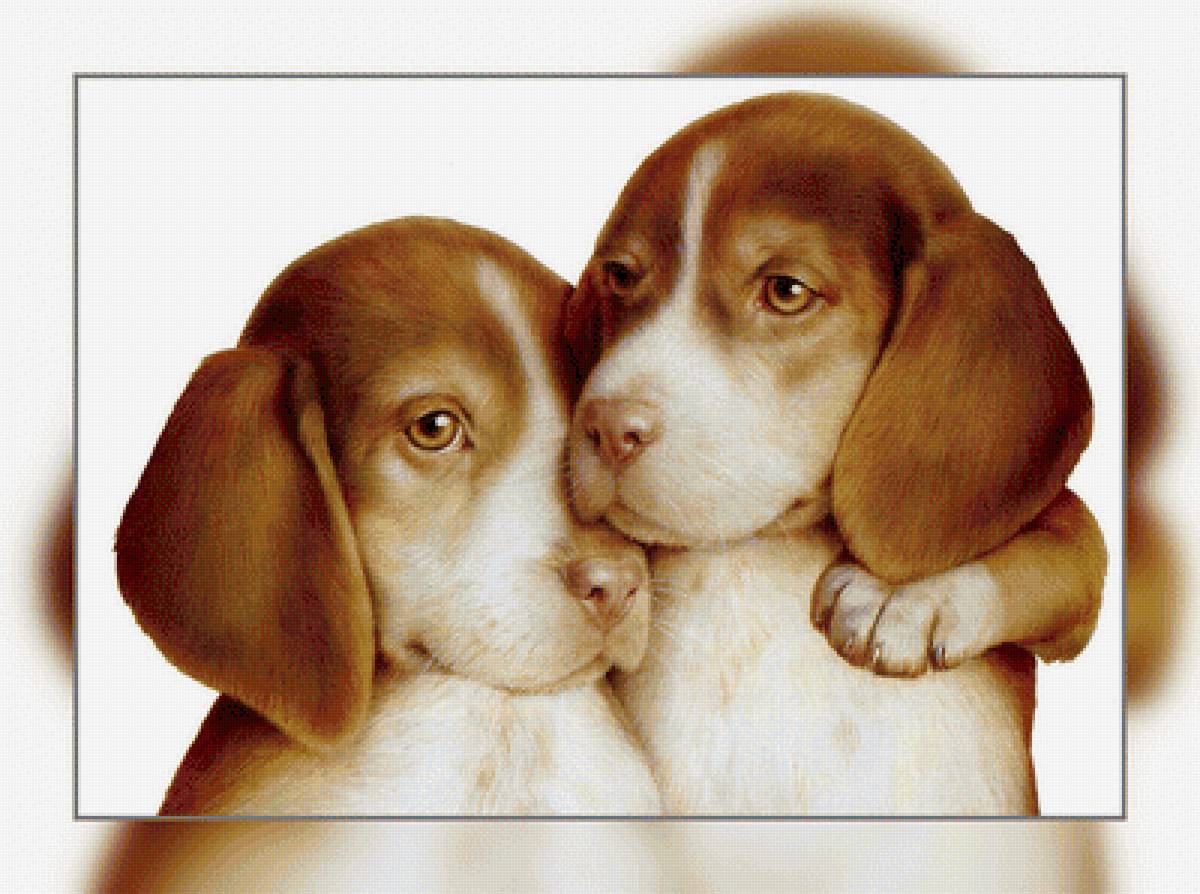 №1938713 - собаки, животные - предпросмотр