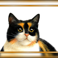 Схема вышивки «№1938719»