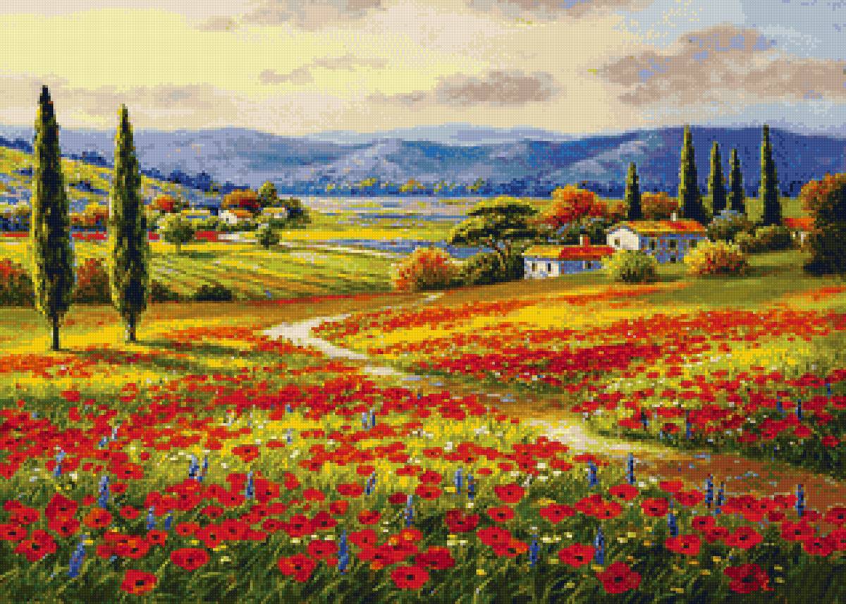 Таскана поле с маками - поле маки тоскана кипарис горы небо закат холмы - предпросмотр