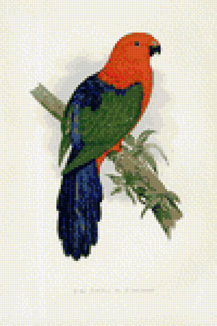 птичка - предпросмотр