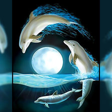 Дельфины под луной.