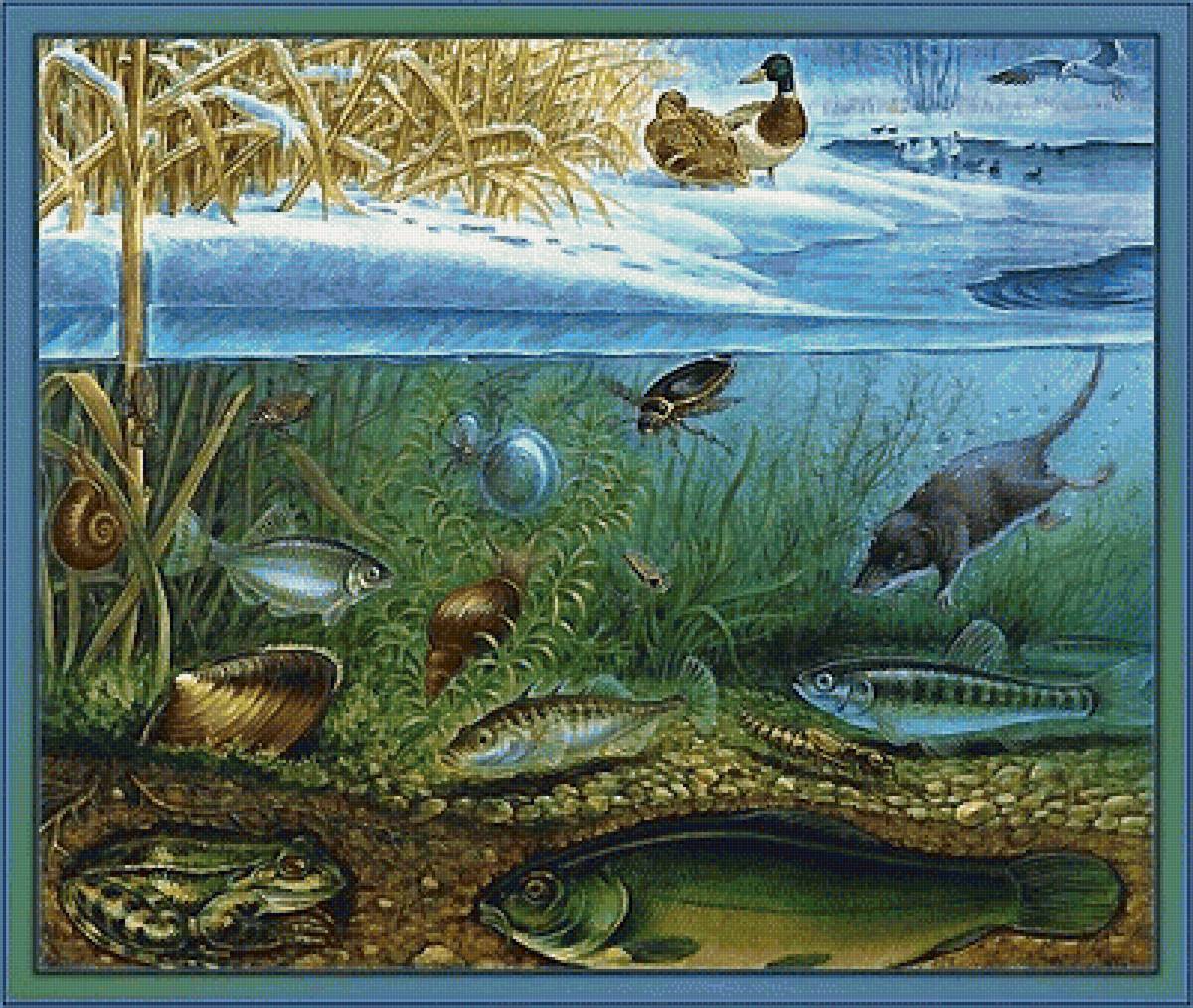 мир животных - мир животных - предпросмотр