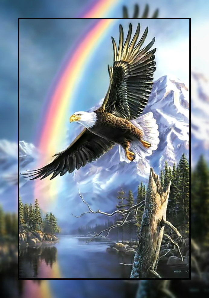 Орёл и радуга. - небо, полет., природа, орел, радуга - оригинал