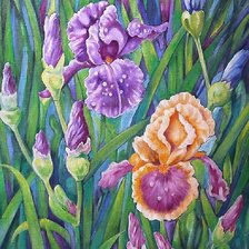 Схема вышивки «цветы»