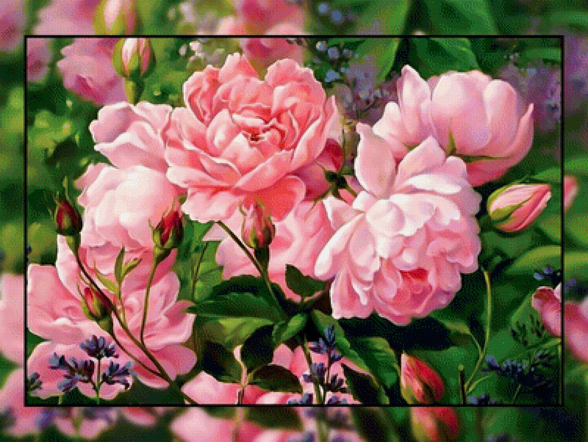 Розовые пионы. - цветы, пионы, букет., розовый - предпросмотр