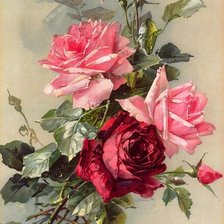 Схема вышивки «розы»