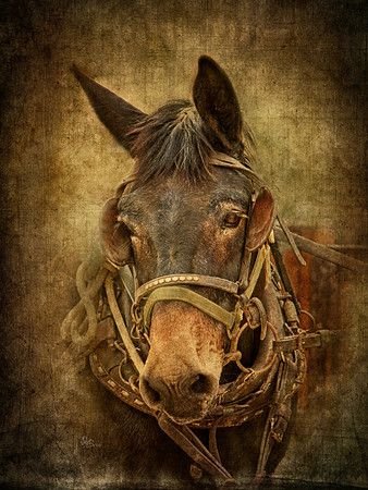 №1939285 - оригинал