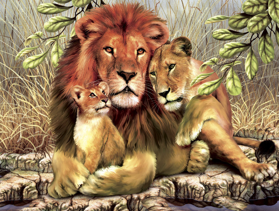 Мир животных - любовь, лев, семья, пара, арт - оригинал