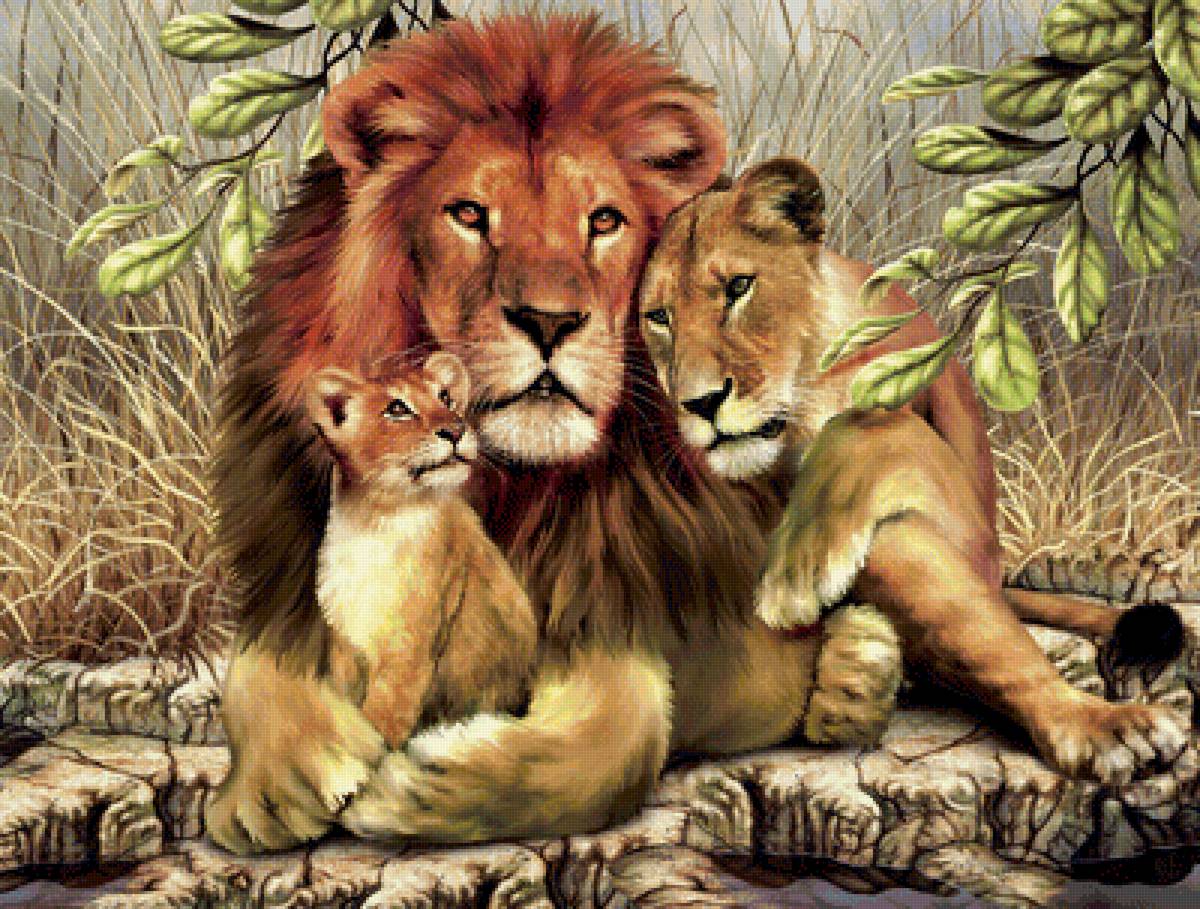 Мир животных - арт, пара, лев, семья, любовь - предпросмотр