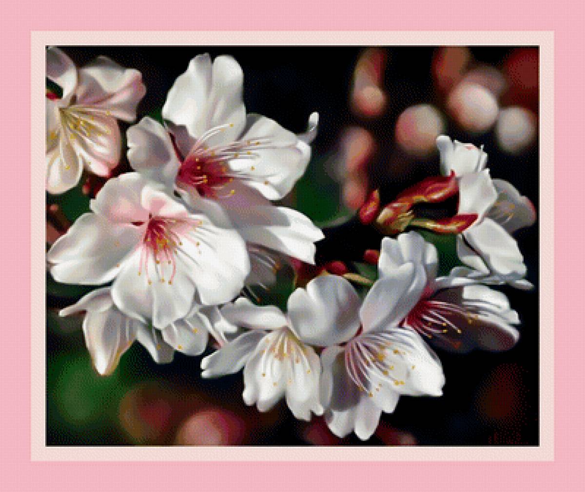 Цветы. - цветы. - предпросмотр