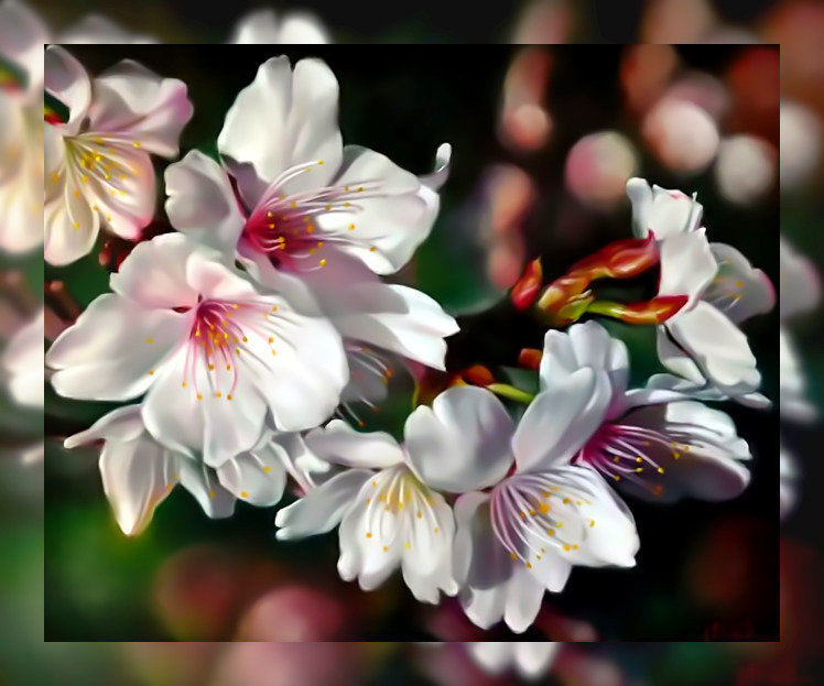 Цветы2. - цветы. - оригинал