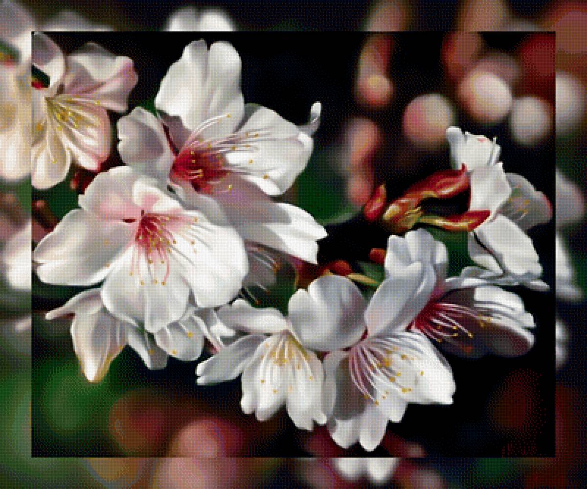 Цветы2. - цветы. - предпросмотр