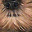 Предпросмотр схемы вышивки «№1939375»