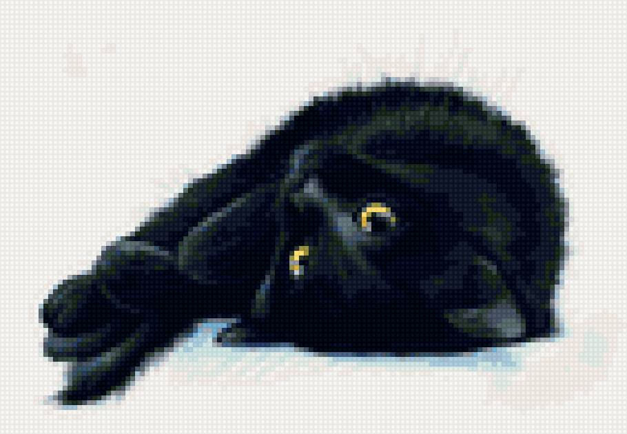 Черный кот1 - черный, кот - предпросмотр