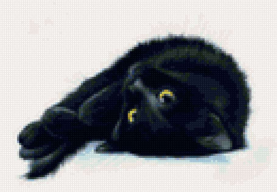 Черный кот2 - черный, кот - предпросмотр