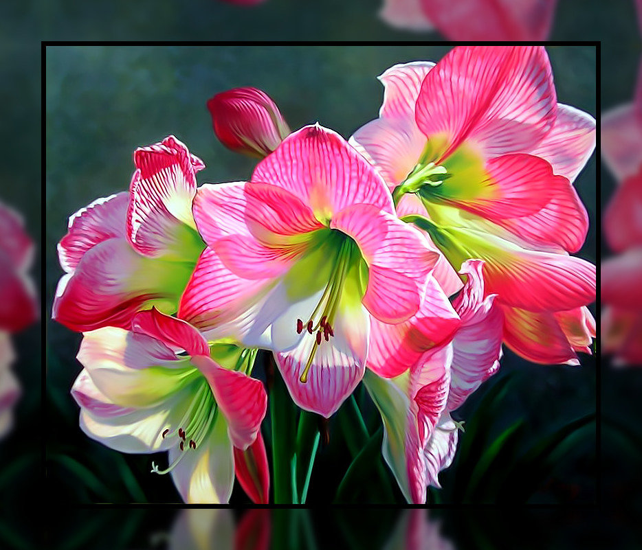 Яркие цветы. - цветы., яркие - оригинал