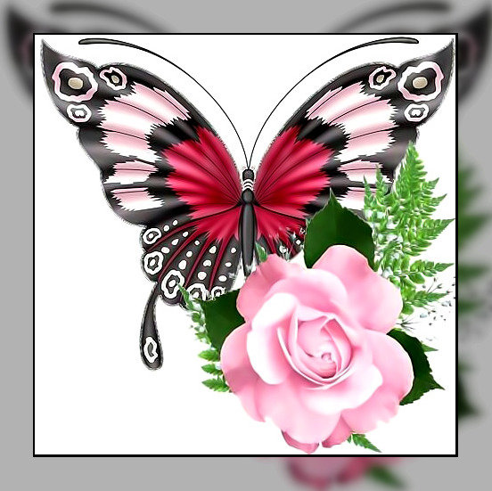 Бабочка. - бабочка, цветок., роза - оригинал