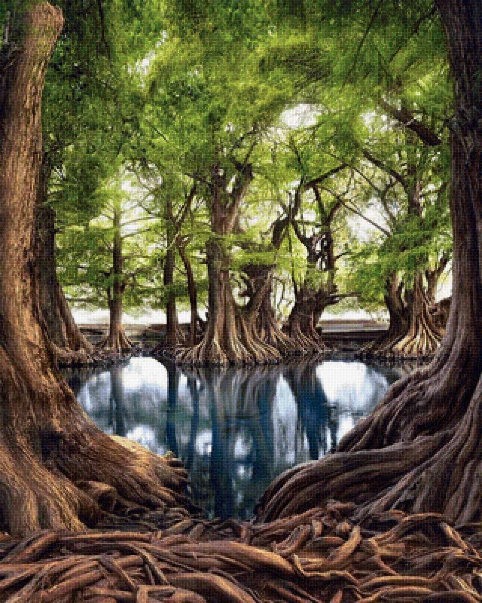 520 - предпросмотр