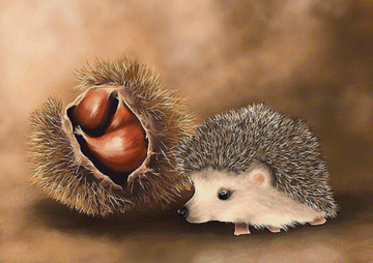 №1939649 - предпросмотр