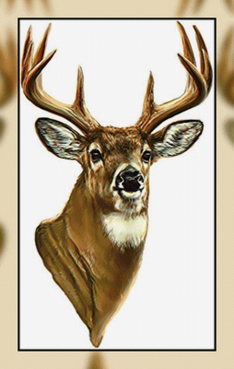 Олень2. - животные., олень - предпросмотр