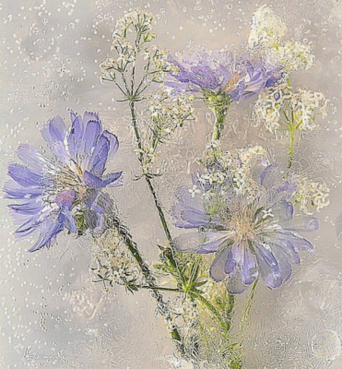 №1939732 - цикорий - предпросмотр