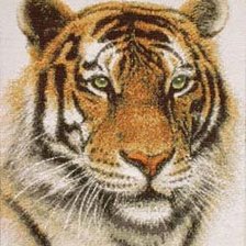 Схема вышивки «Тигр»