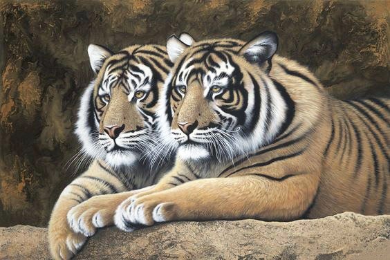 №1939846 - тигр, хищники, тигры, животные - оригинал